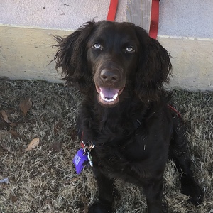 Fundraising Page: Maureen Mills